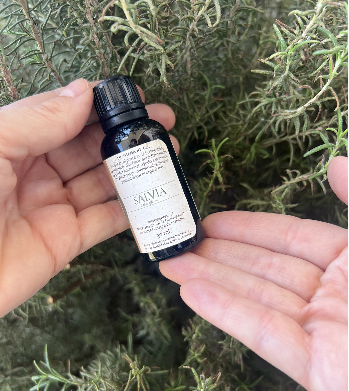 Tintura madre de Salvia